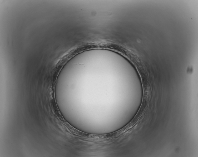 X0000090891205200707271031