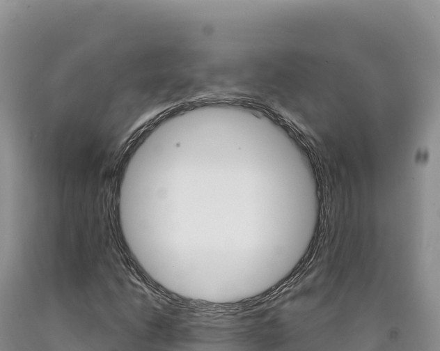 X0000090891206200707271031