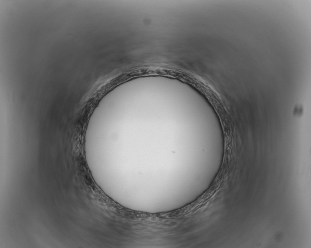 X0000090891207200707271031