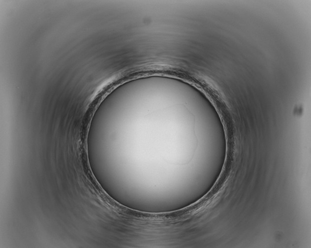 X0000090891210200707271031