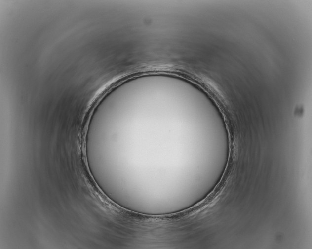 X0000090891212200707271031