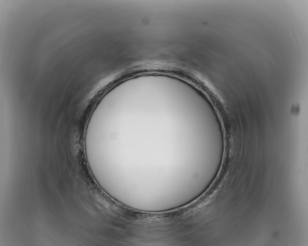 X0000090891213200707271031