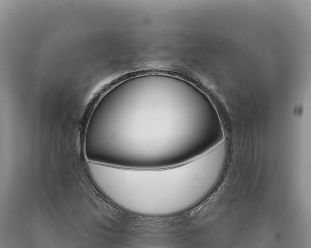 X0000090891214200707271031