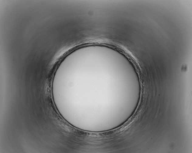 X0000090891215200707271031