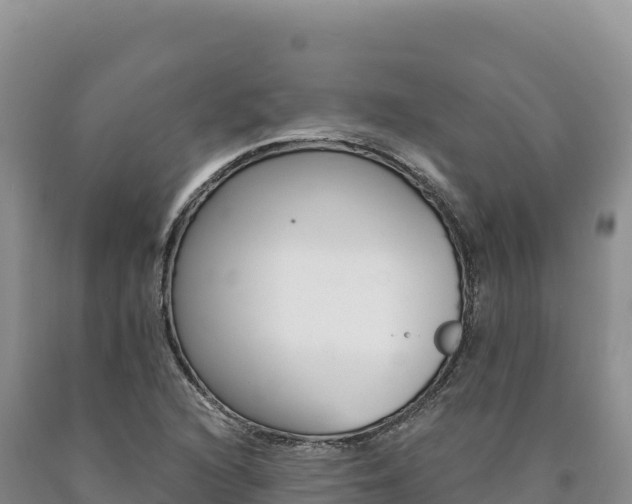 X0000090891216200707271031