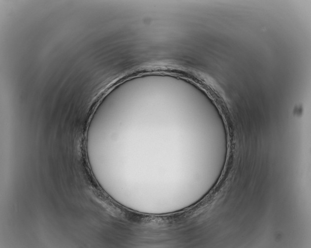 X0000090891217200707271031