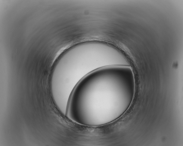X0000090891218200707271031