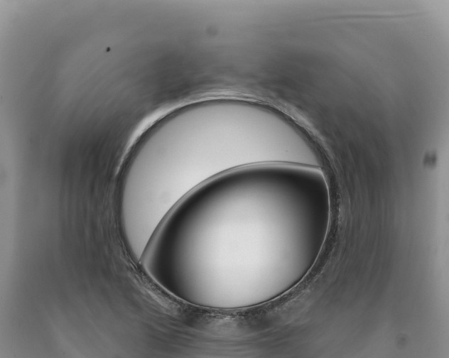 X0000090891222200707271031