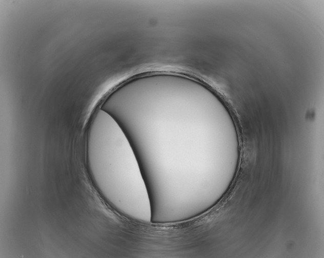 X0000090891223200707271031