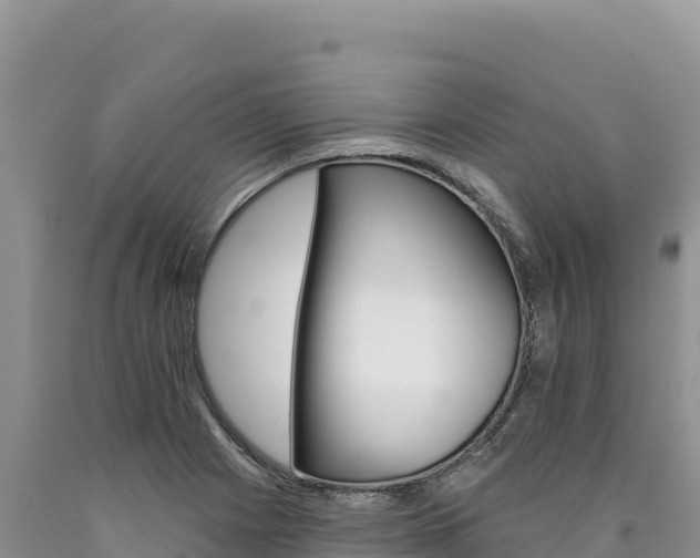 X0000090891225200707271031