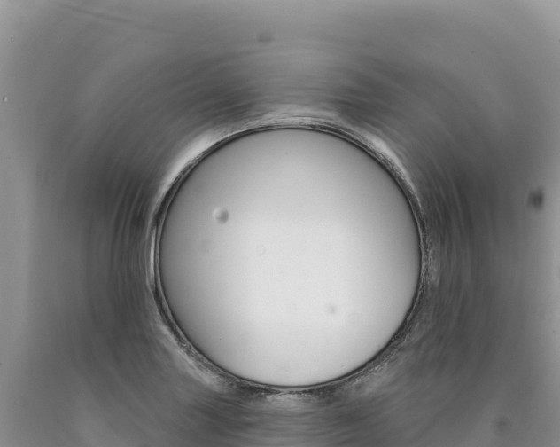 X0000090891227200707271031