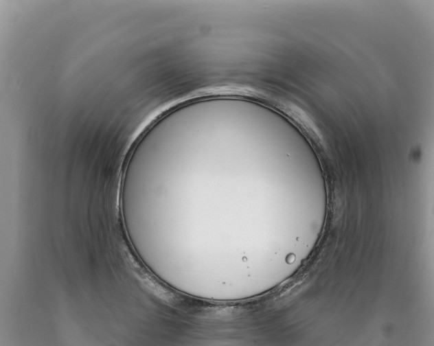X0000090891228200707271031
