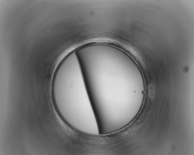 X0000090891229200707271031
