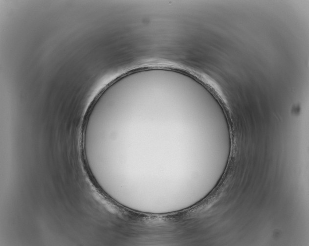 X0000090891231200707271031