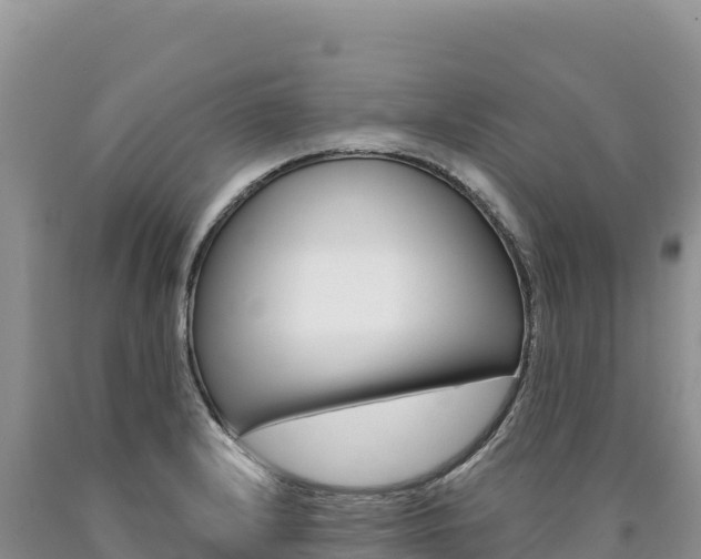 X0000090891232200707271031