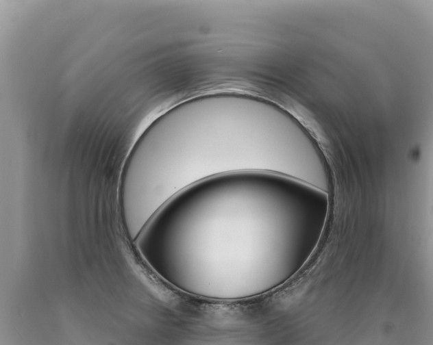 X0000090891234200707271031