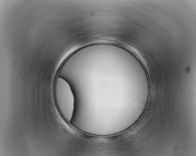 X0000090891235200707271031