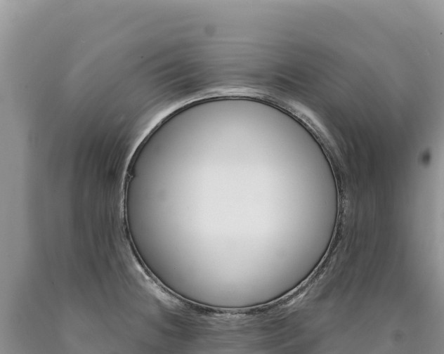 X0000090891236200707271031