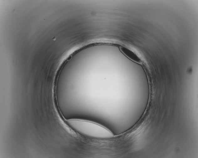 X0000090891237200707271031