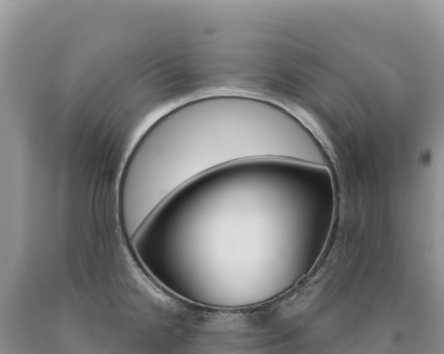 X0000090891238200707271031