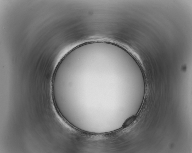 X0000090891239200707271032