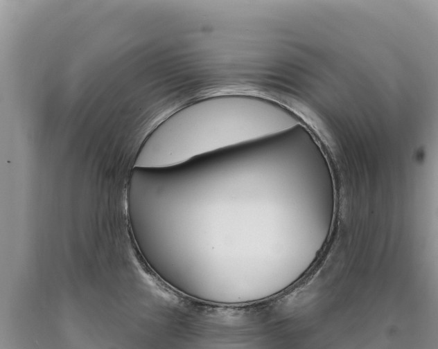 X0000090891241200707271032