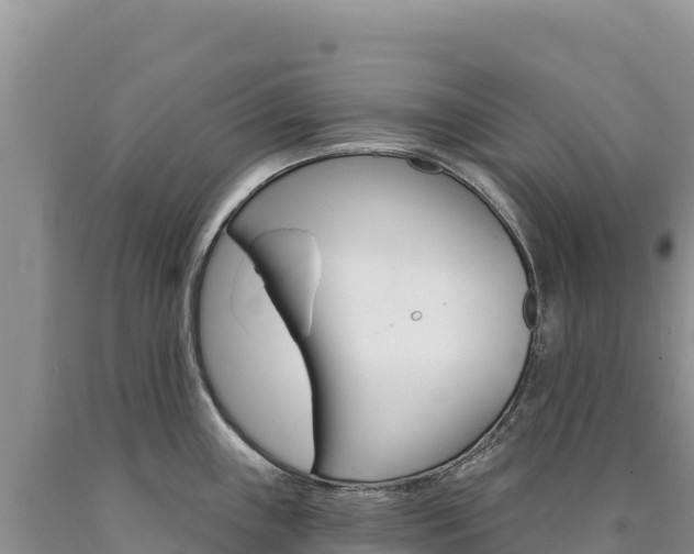 X0000090891243200707271032