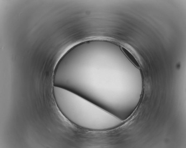 X0000090891244200707271032