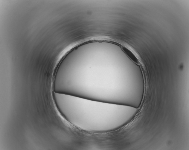 X0000090891245200707271032