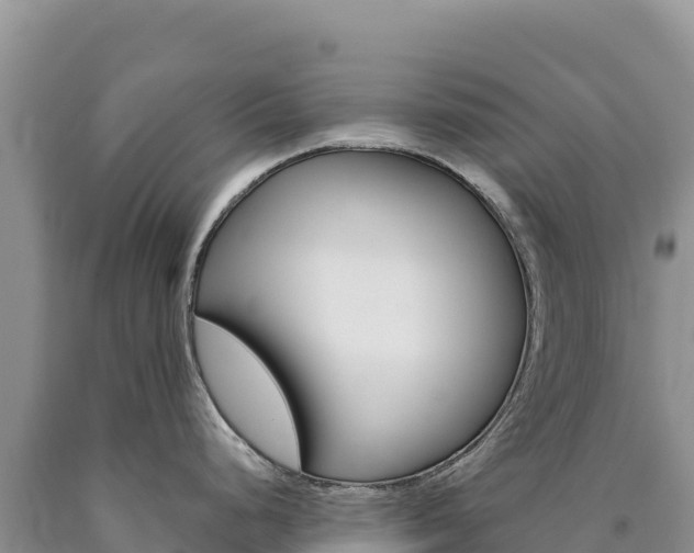 X0000090891248200707271032