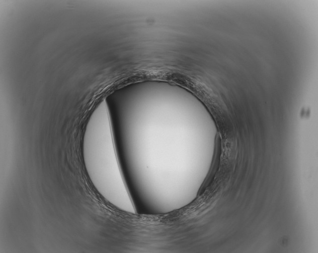 X0000090891249200707271031
