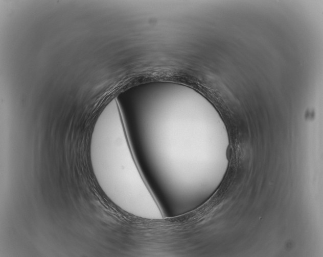 X0000090891250200707271031