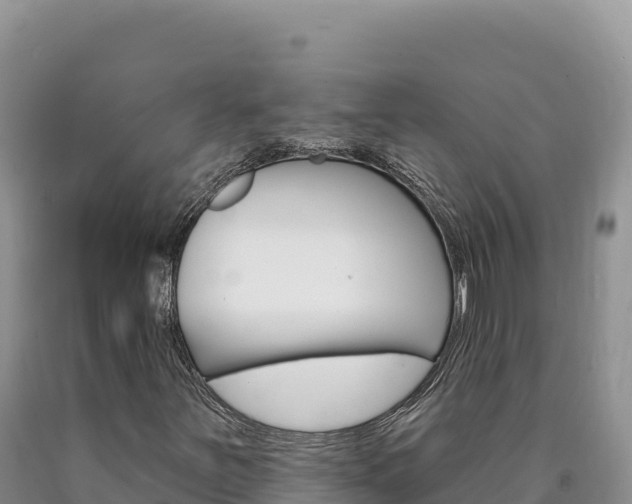 X0000090891251200707271031