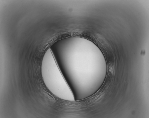 X0000090891252200707271031