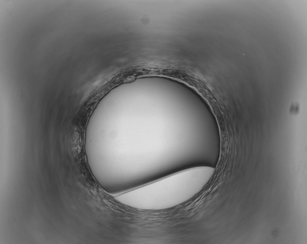 X0000090891253200707271031