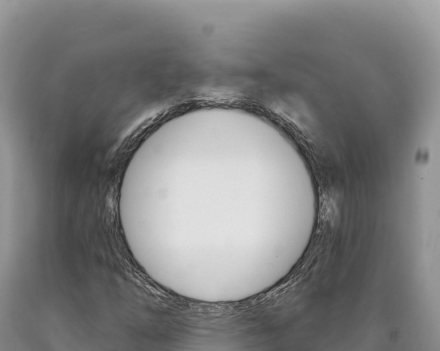 X0000090891254200707271031