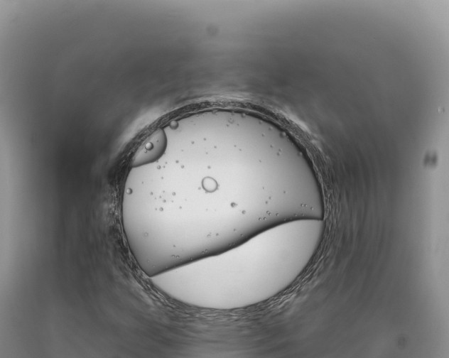 X0000090891255200707271031