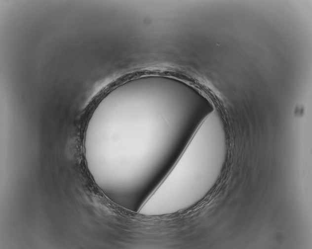 X0000090891256200707271031