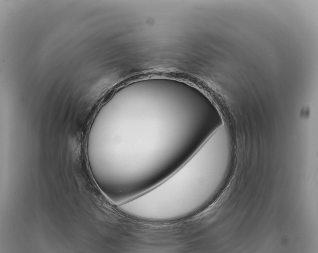 X0000090891257200707271031