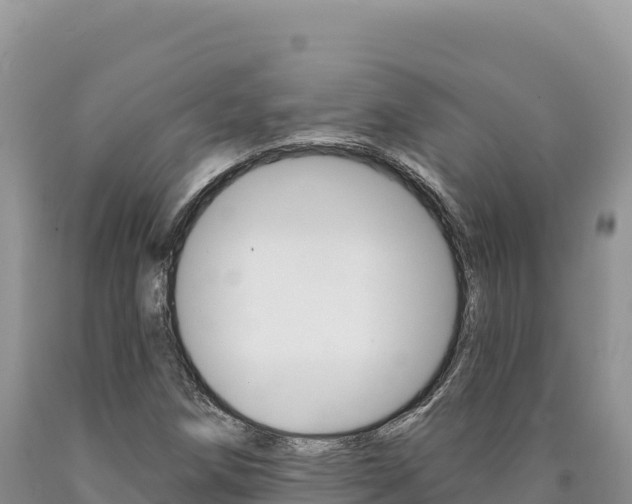 X0000090891258200707271031