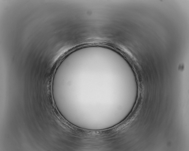 X0000090891259200707271031