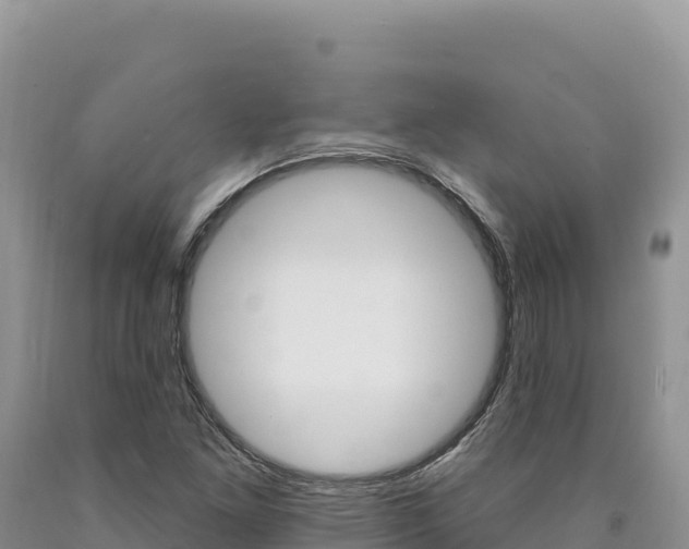X0000090891261200707271031