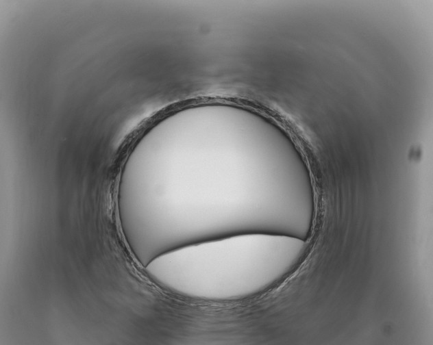 X0000090891262200707271031