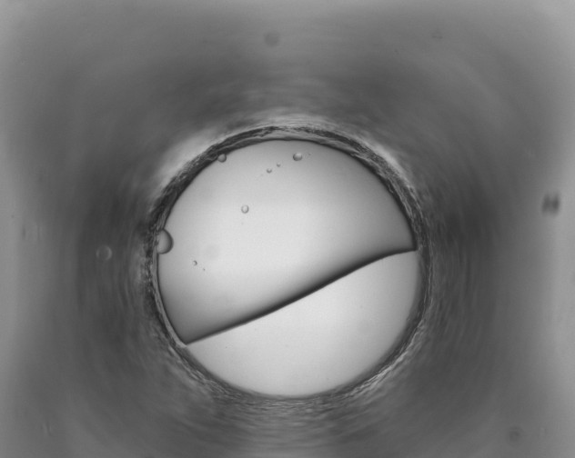 X0000090891263200707271031