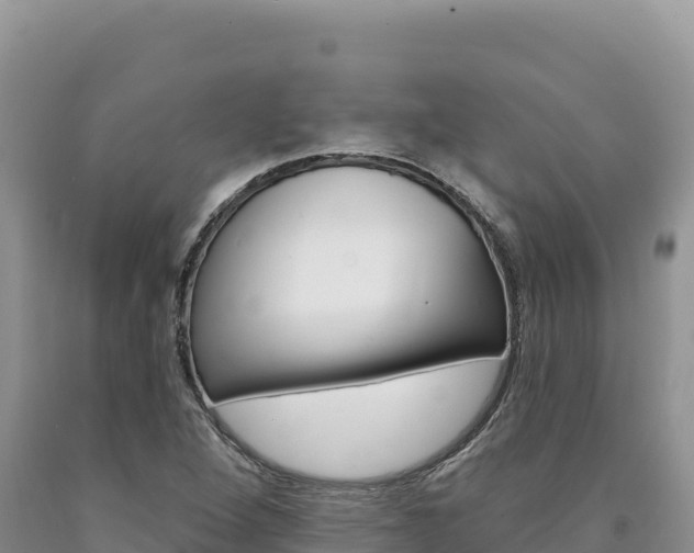 X0000090891264200707271031