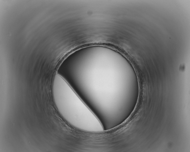 X0000090891265200707271031