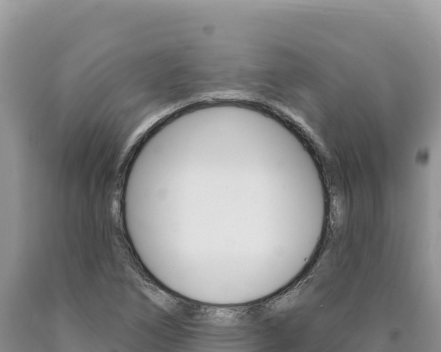X0000090891266200707271031