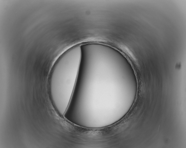 X0000090891268200707271031