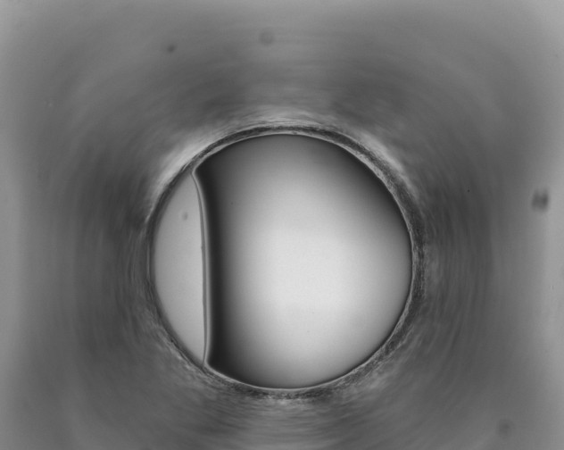 X0000090891269200707271031