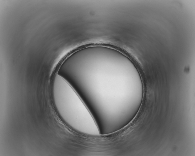 X0000090891270200707271031